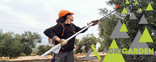 Abbacchiatori per olive Stihl