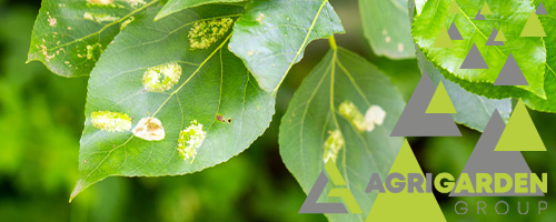 Fungicidi naturali Agribios Fungicidi naturali Agribios